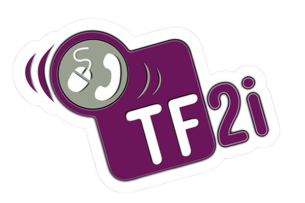 logo tf2i groupe convergence